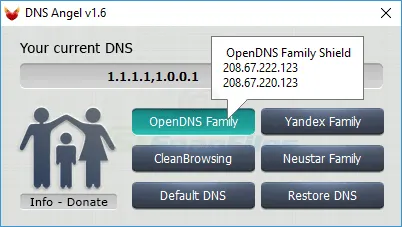 DNS Angel Captură de ecran 2