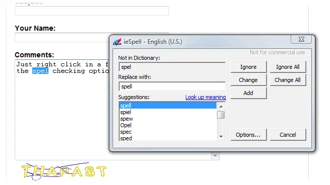 ieSpell Captură de ecran 2