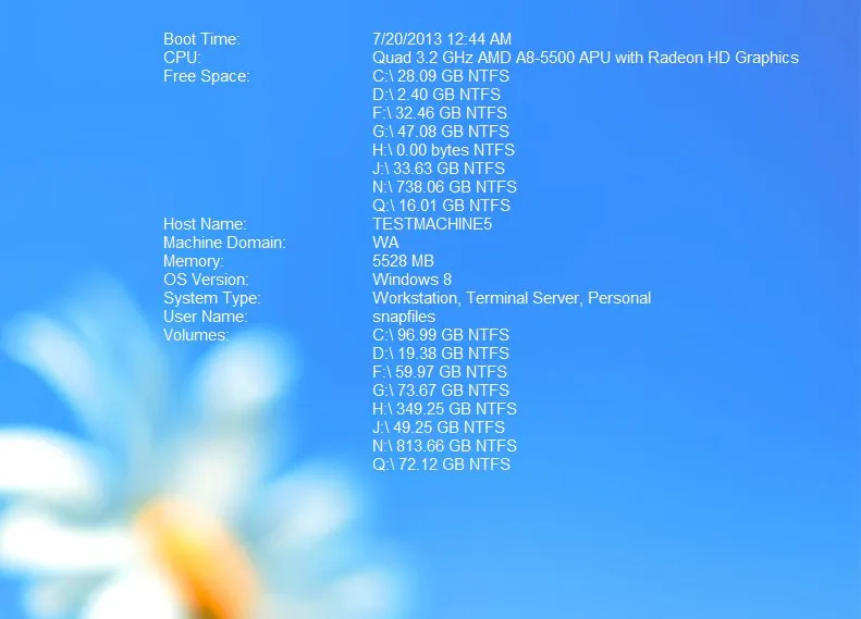 BGInfo Captură de ecran 2