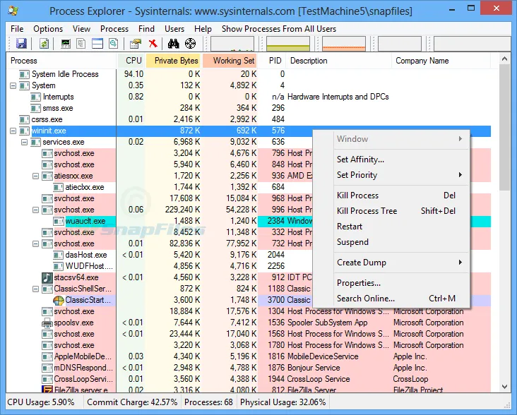 Process Explorer Captură de ecran 1